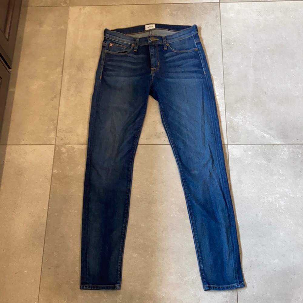 HUDSON Skinny Jean